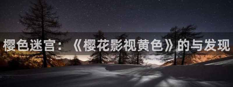 星空无限传媒观看