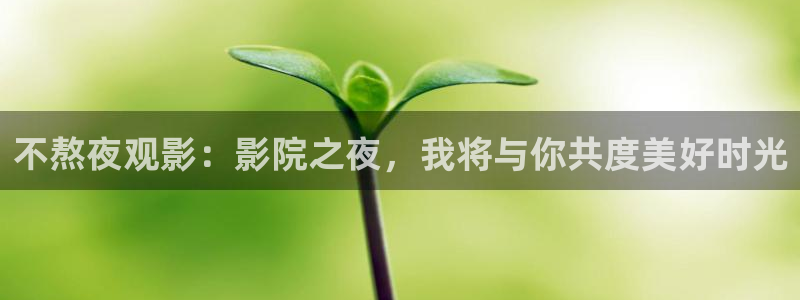 星空影视旧版下载
