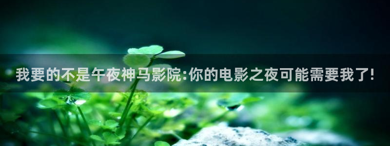梵高的星空电影