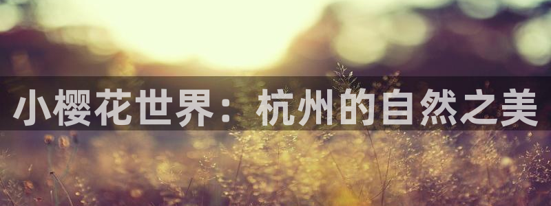 星空影视在线观
