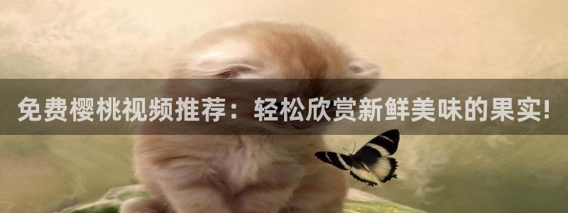 请叫我总监樱花视频