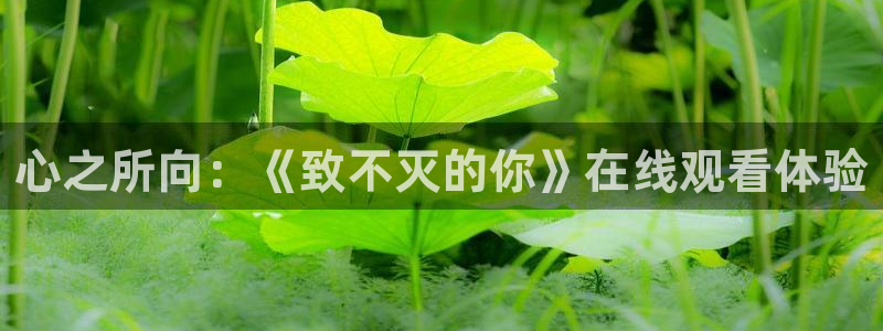 樱花视频电影在线免费观看