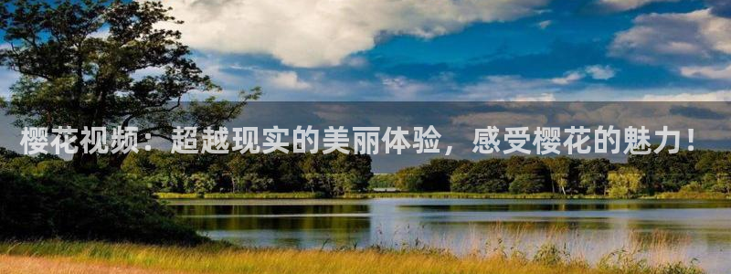 星空影视在线免费观看完整版