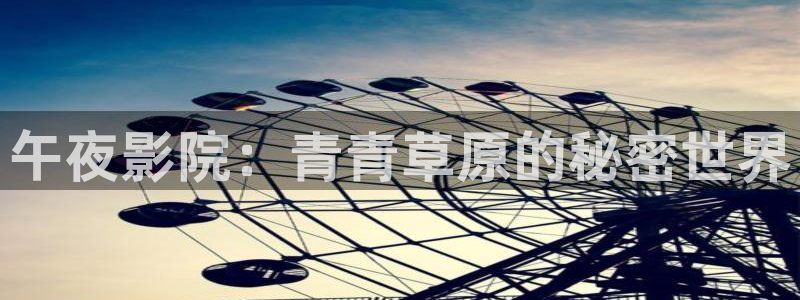全部星空传媒影院