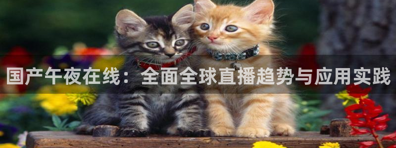 山河令樱花视频