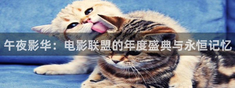 星空视频免费观看电影大全
