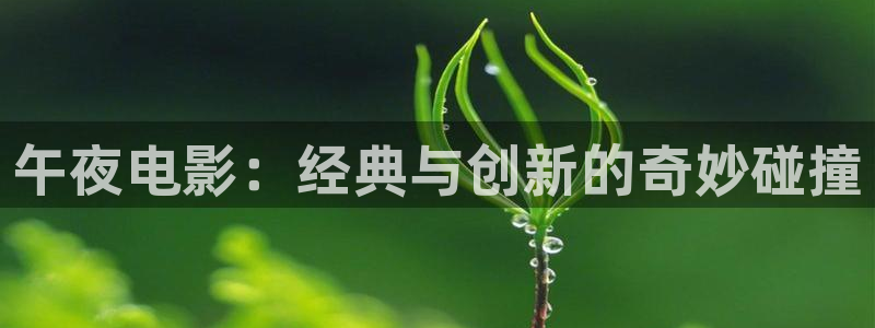 星空影视免费观看