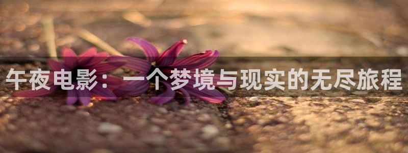 星空电影在线观看播放免费
