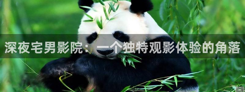 星空影视app最新版下载安装