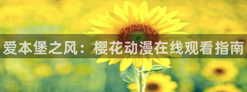 一片星空