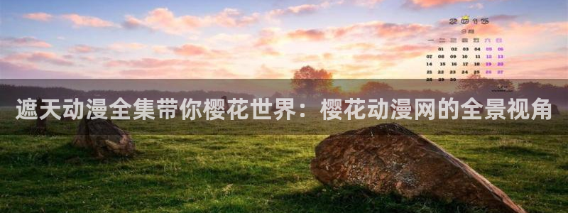 樱花视频理论片